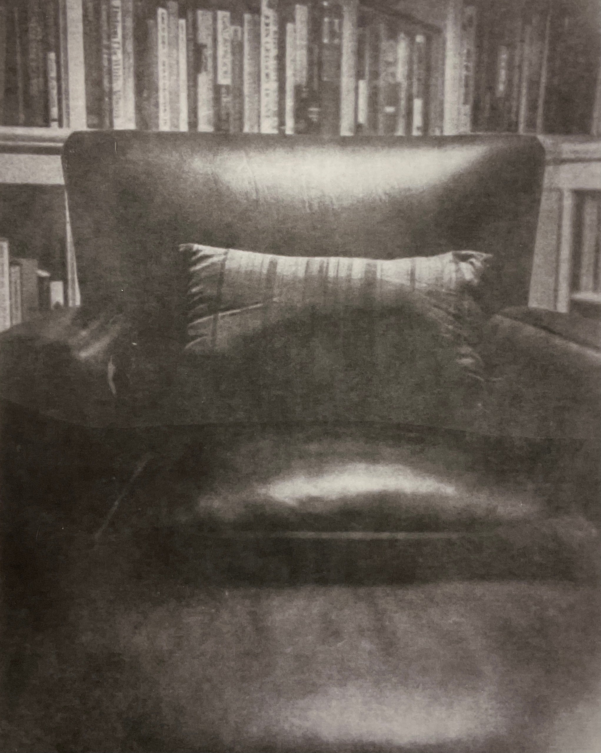 Joy Kardish, Memories: The Library-2