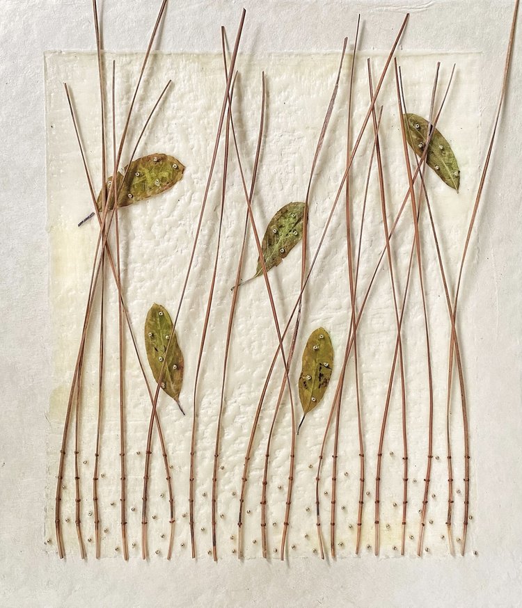 Ava Roth, Pine Needles and Tiny Leaves