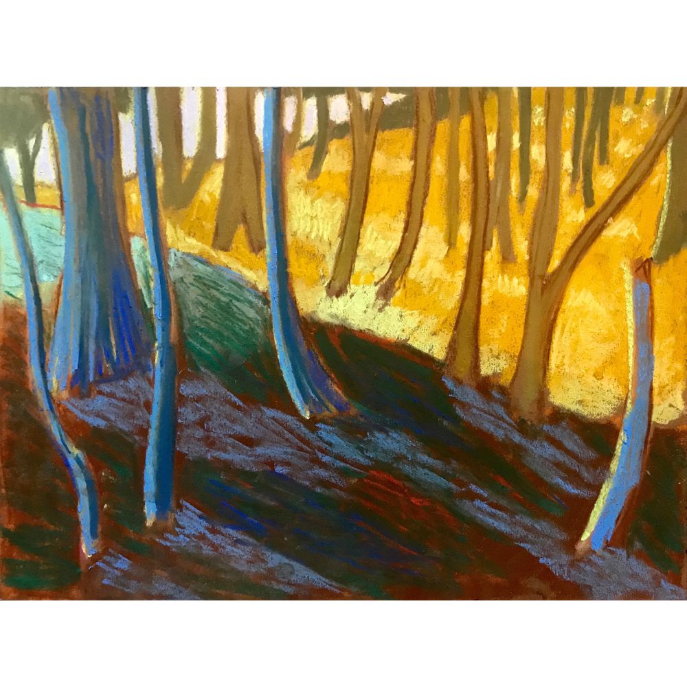 Alex Chowaniec, Rideau Lakes (Late Afternoon Woods)