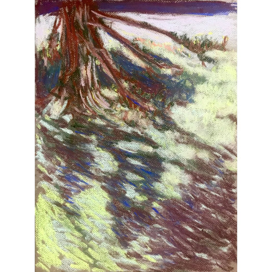 Alex Chowaniec, Rideau Lakes (Pine Shadows)