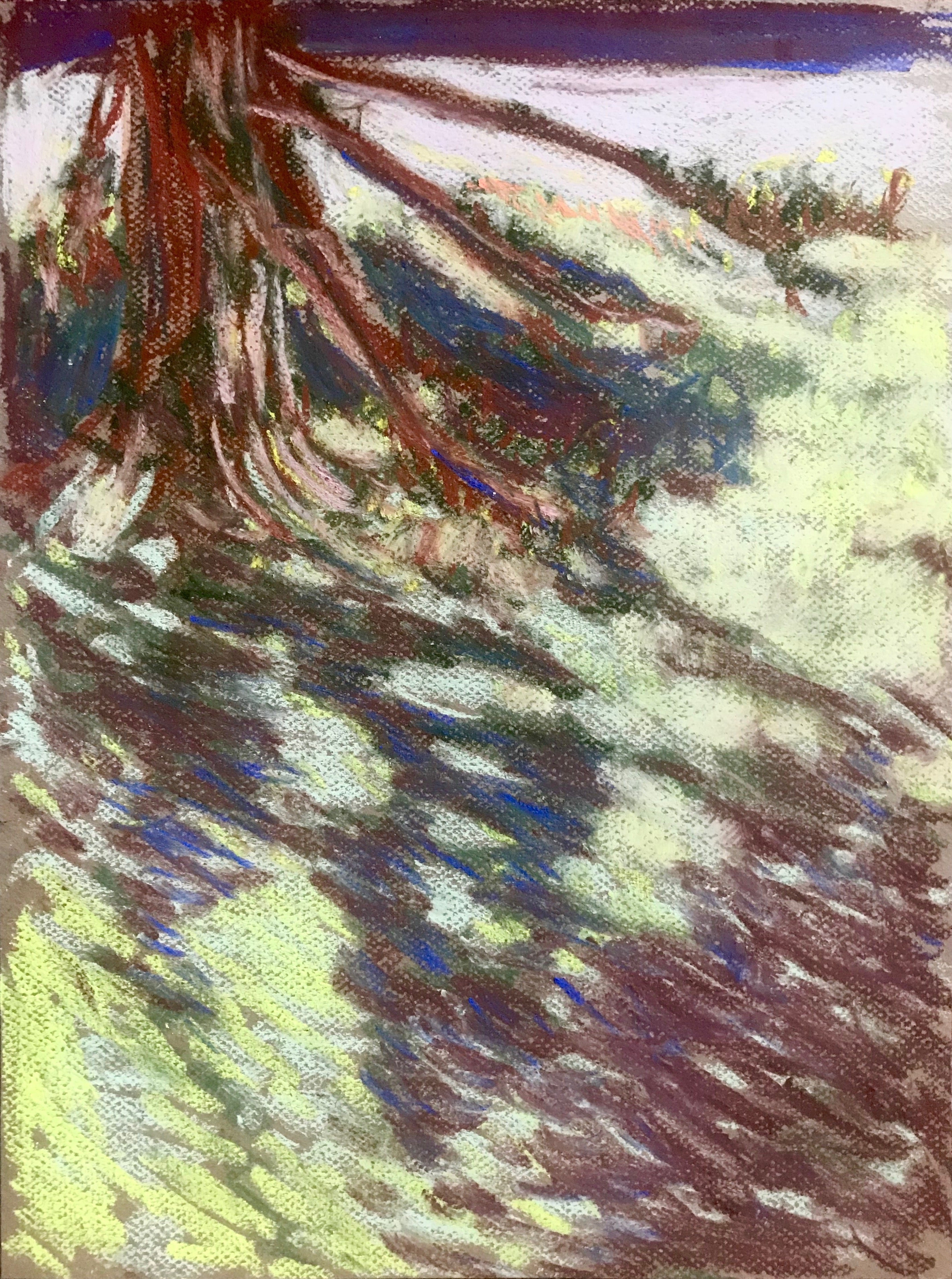 Alex Chowaniec, Rideau Lakes (Pine Shadows)