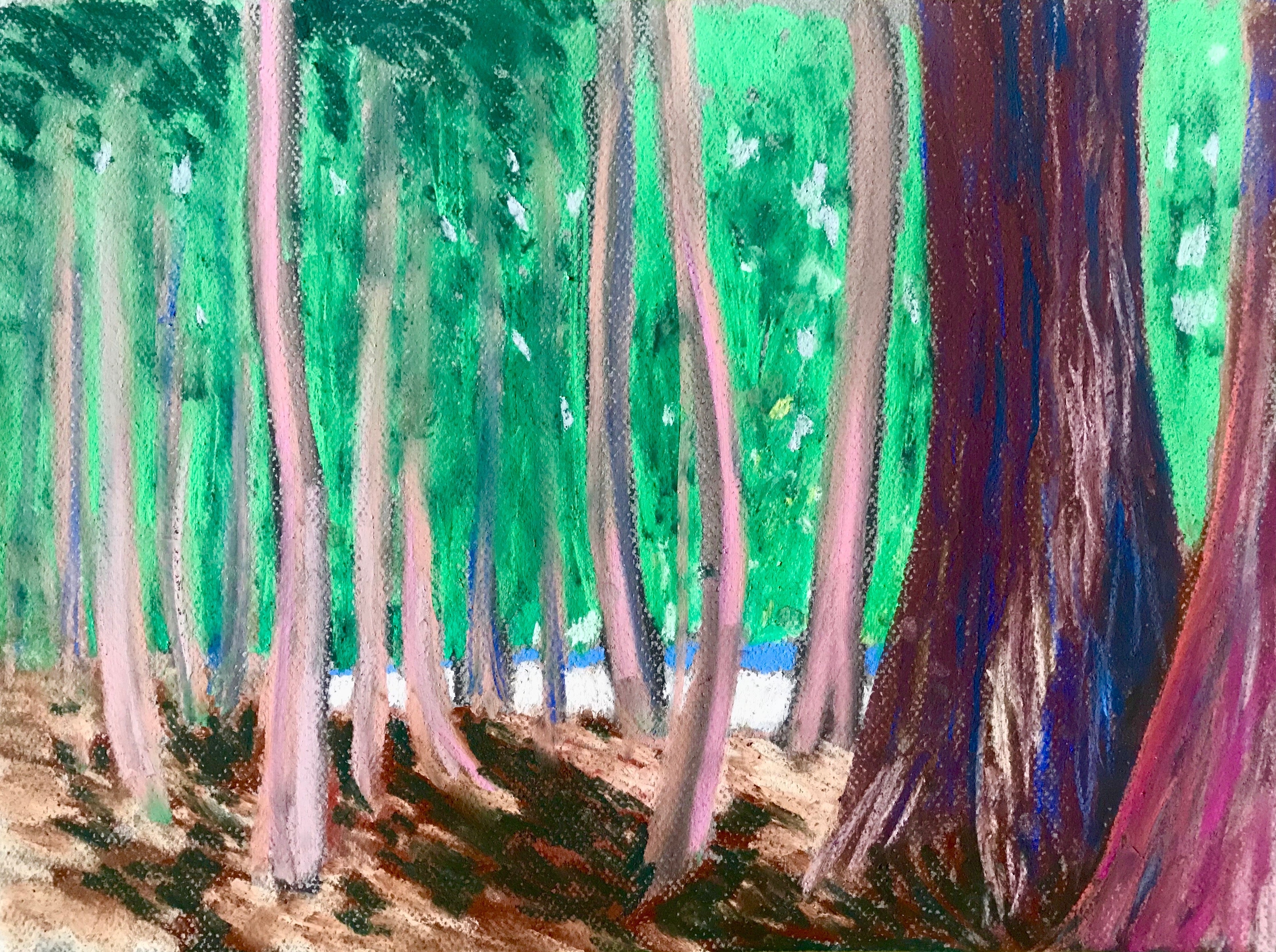 Alex Chowaniec, Rideau Lakes (Sunlit Woods I)