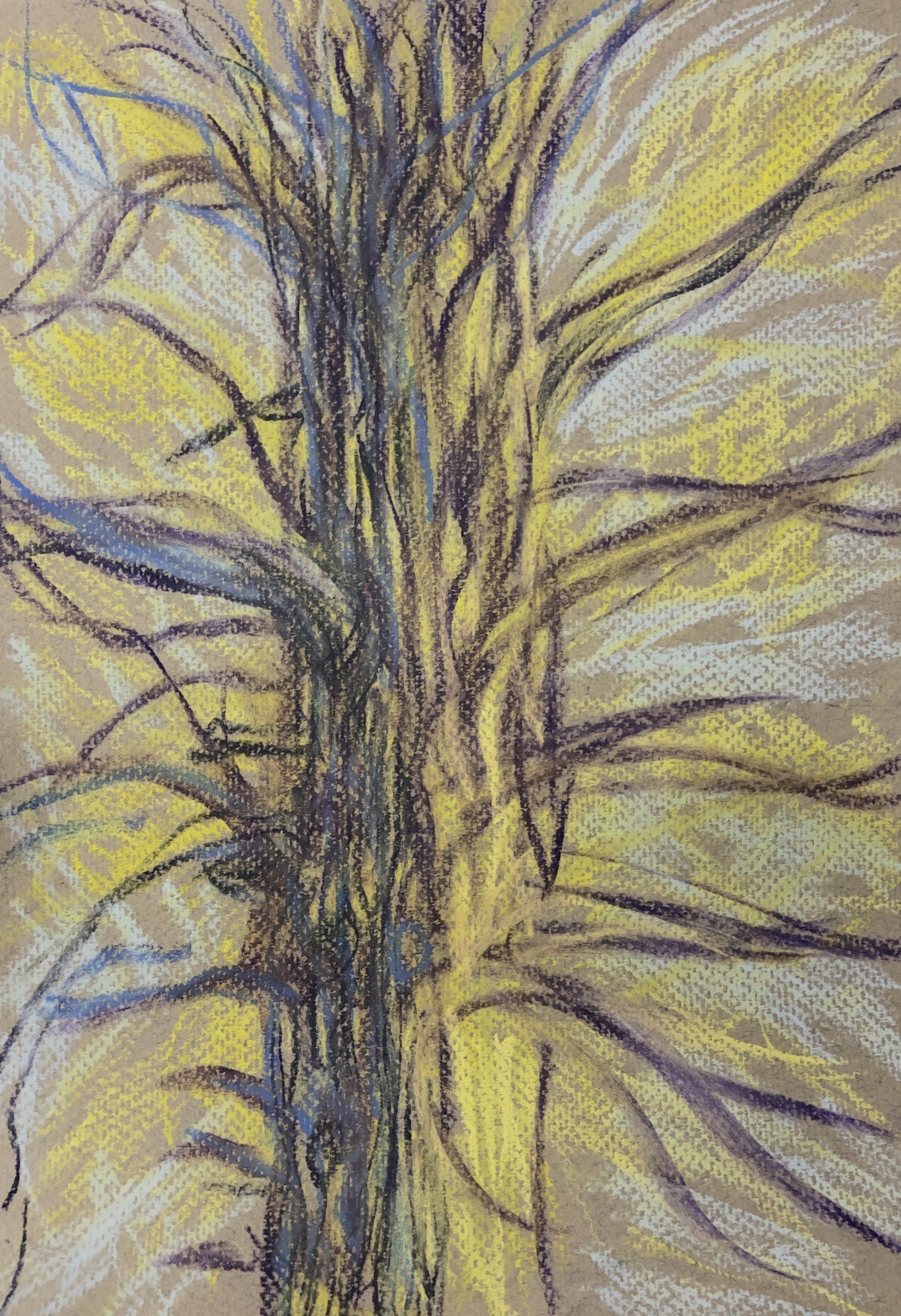 Alex Chowaniec, Rideau Lakes (Pine Mind)