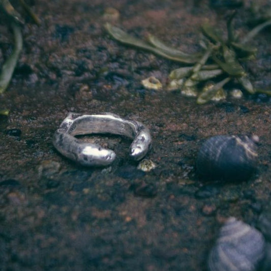 RYHN, Open Idyll Ring